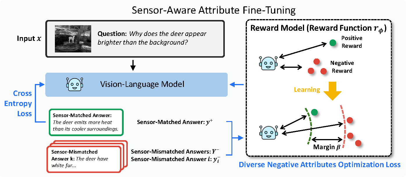 Multi-vision Sensor Understanding